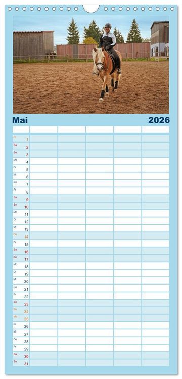 Produktbild: Familienplaner 2026 - Faszination Haflinger mit 5 Spalten (Wandkalender, 21 x 45 cm) CALVENDO