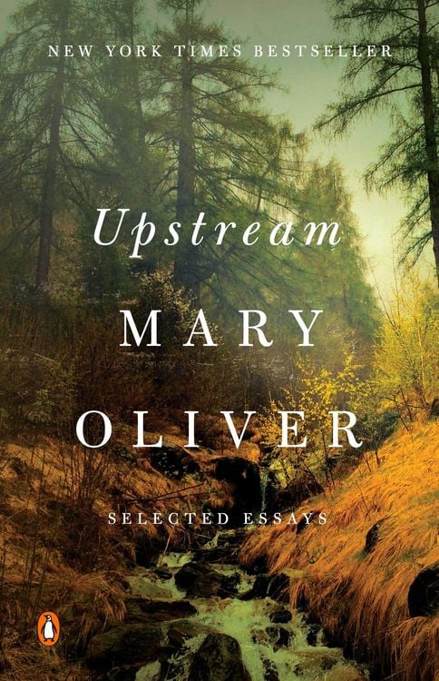 Produktbild: Upstream
