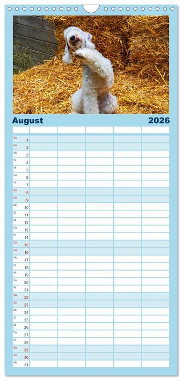 Produktbild: Familienplaner 2026 - Witzige Fellnasen mit 5 Spalten (Wandkalender, 21 x 45 cm) CALVENDO