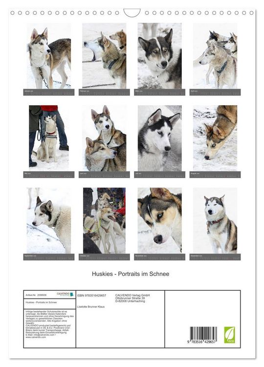 Produktbild: Huskies - Portraits im Schnee (Wandkalender 2026 DIN A3 hoch), CALVENDO Monatskalender