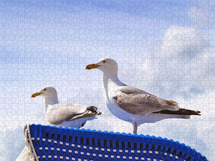 Produktbild: CALVENDO Puzzle M&ouml;wen auf einem Strandkorb an der Ostsee | 1000 Teile Lege-Gr&ouml;&szlig;e 64x48cm Foto-Puzzle f&uuml;r gl&uuml;ckliche Stunden