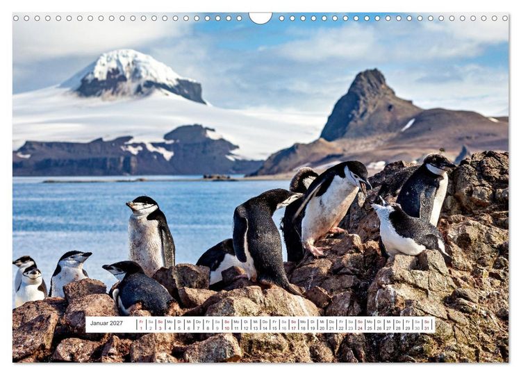Produktbild: Expedition Antarktis (Wandkalender 2027 DIN A3 quer), CALVENDO Monatskalender