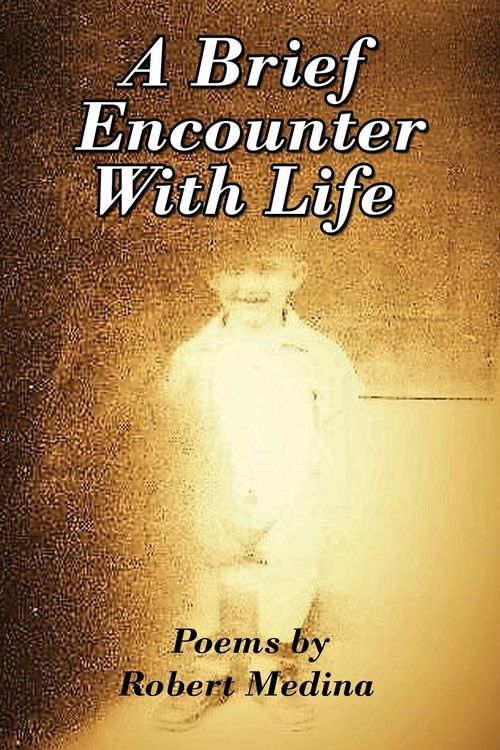 Produktbild: A Brief Encounter With Life
