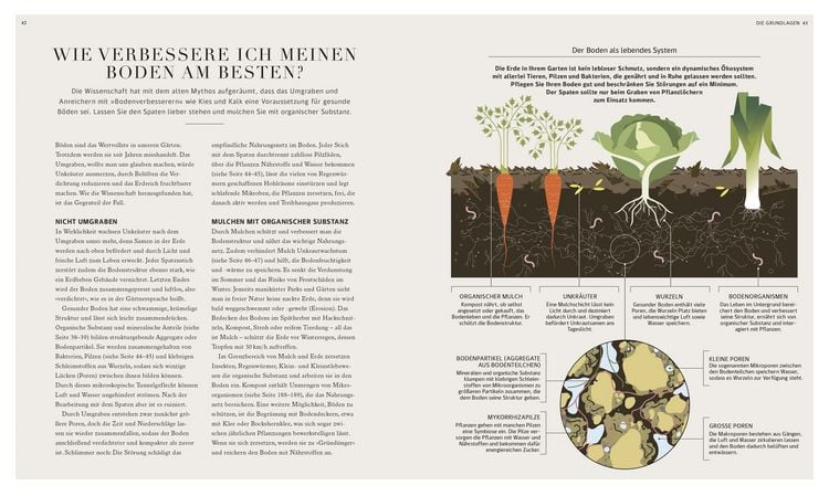 Produktbild: 100 Fragen und Antworten zum G&auml;rtnern