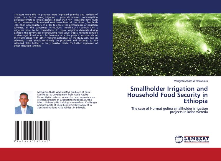 Produktbild: Smallholder Irrigation and Household Food Security in Ethiopia