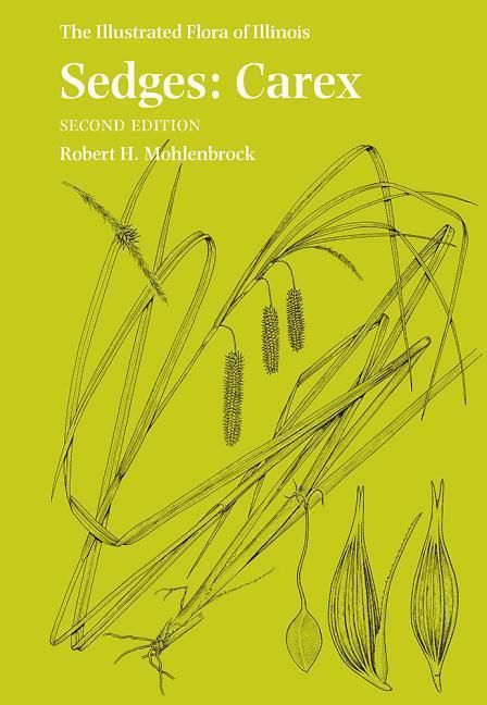 Produktbild: Mohlenbrock, R:  Sedges