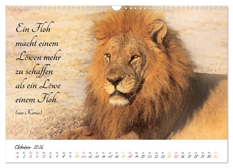 Produktbild: AFRIKA - Kontinent der Poesie (Wandkalender 2026 DIN A3 quer), CALVENDO Monatskalender