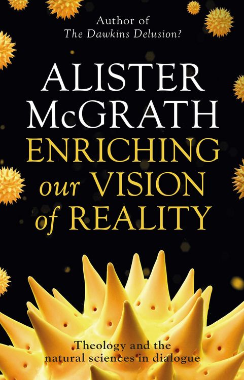 Produktbild: Enriching our Vision of Reality