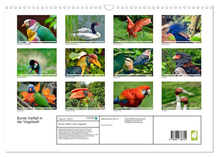 Produktbild: Bunte Vielfalt in der Vogelwelt (Wandkalender 2026 DIN A3 quer), CALVENDO Monatskalender