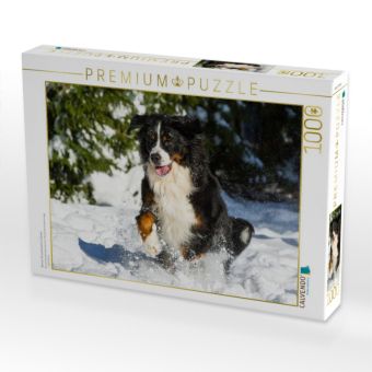 Produktbild: CALVENDO Puzzle Berner Sennenhund im Schnee | 1000 Teile Lege-Gr&ouml;&szlig;e 64x48cm Foto-Puzzle f&uuml;r gl&uuml;ckliche Stunden