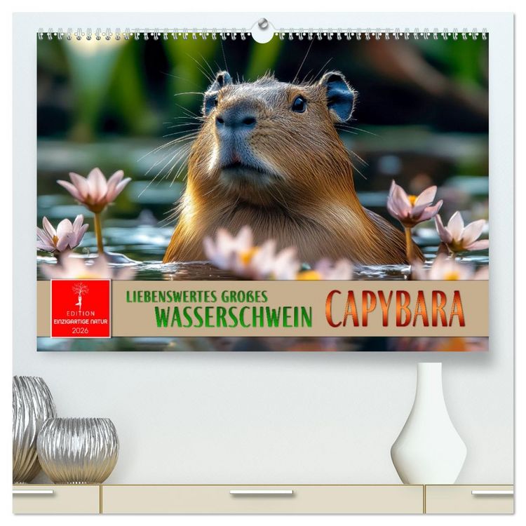 Produktbild: Capybara - liebenswertes gro&szlig;es Wasserschwein (hochwertiger Premium Wandkalender 2026 DIN A2 quer), Kunstdruck in Hochglanz