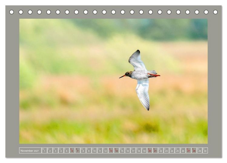 Produktbild: Limikolen - Watv&ouml;gel aus Europa (Tischkalender 2027 DIN A5 quer), CALVENDO Monatskalender