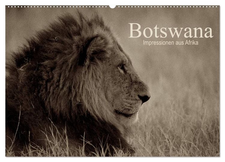 Produktbild: Botswana &ndash; Impressionen aus Afrika (Wandkalender 2026 DIN A2 quer), CALVENDO Monatskalender