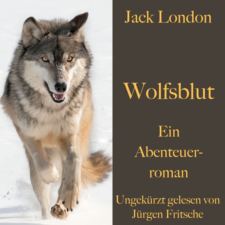 Produktbild: Jack London: Wolfsblut
