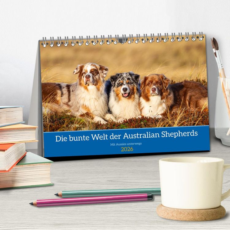 Produktbild: Mit Aussies unterwegs - Die bunte Welt der Australian Shepherds (Tischkalender 2026 DIN A5 quer), CALVENDO Monatskalender
