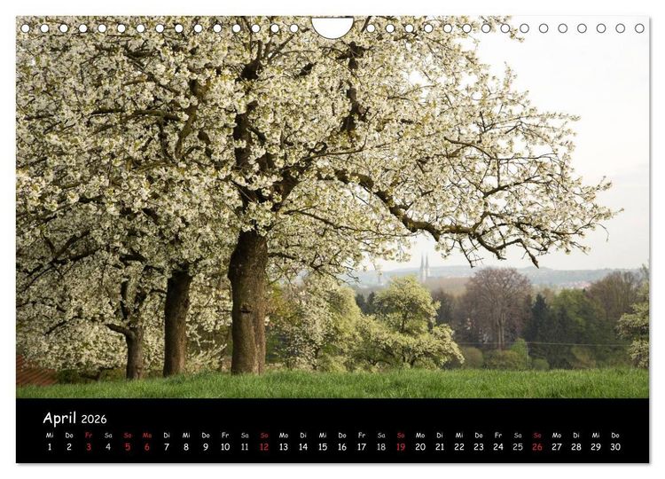 Produktbild: Billerbeck - Perle der Baumberge (Wandkalender 2026 DIN A4 quer), CALVENDO Monatskalender