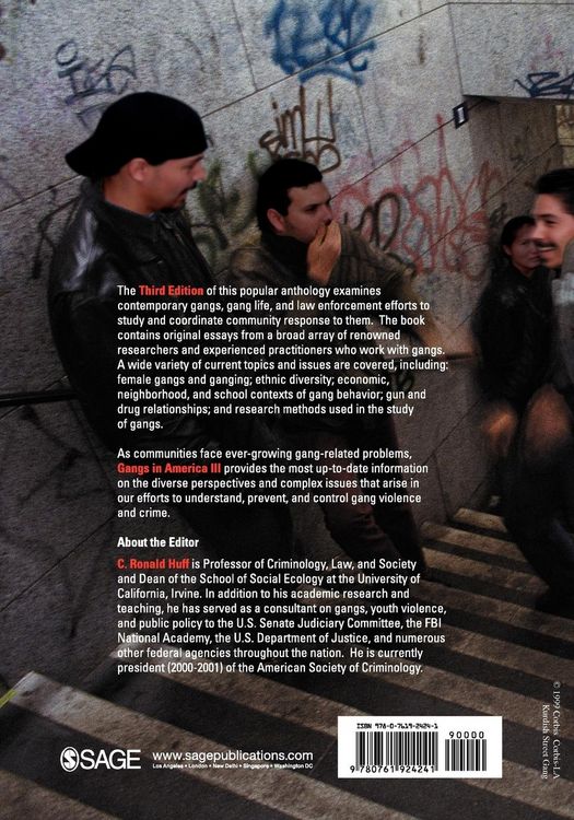 Produktbild: Gangs in America III