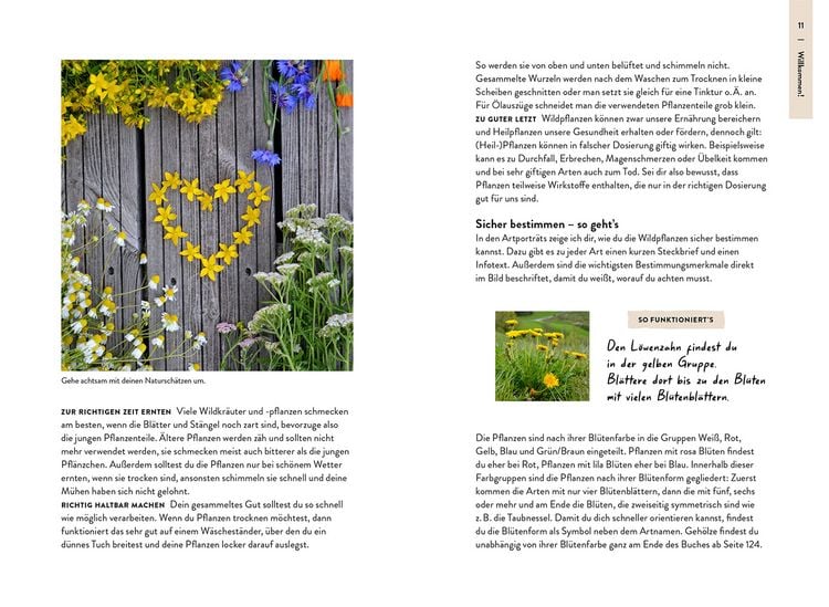 Produktbild: Nature Guide Wildpflanzen