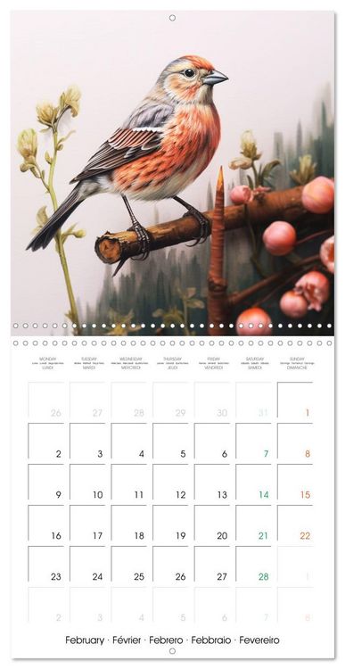 Produktbild: Ailes en sc&egrave;ne (Calendrier mural carr&eacute; 2026 30x30 cm) Calendrier double avec une page pour vos prises de notes