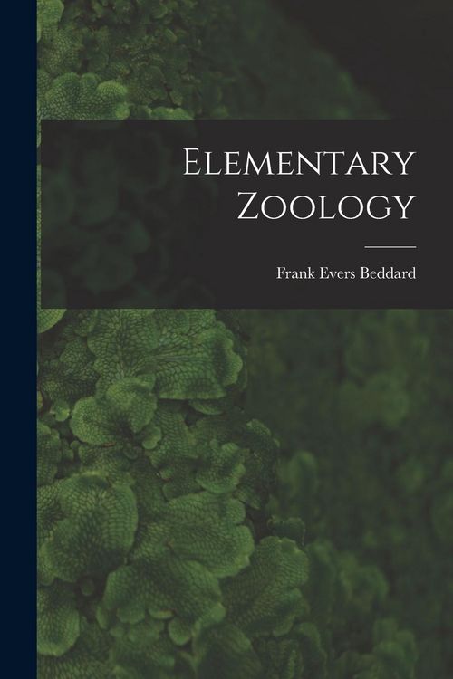 Produktbild: Elementary Zoology