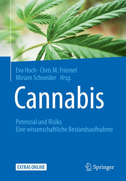 Produktbild: Cannabis: Potenzial und Risiko