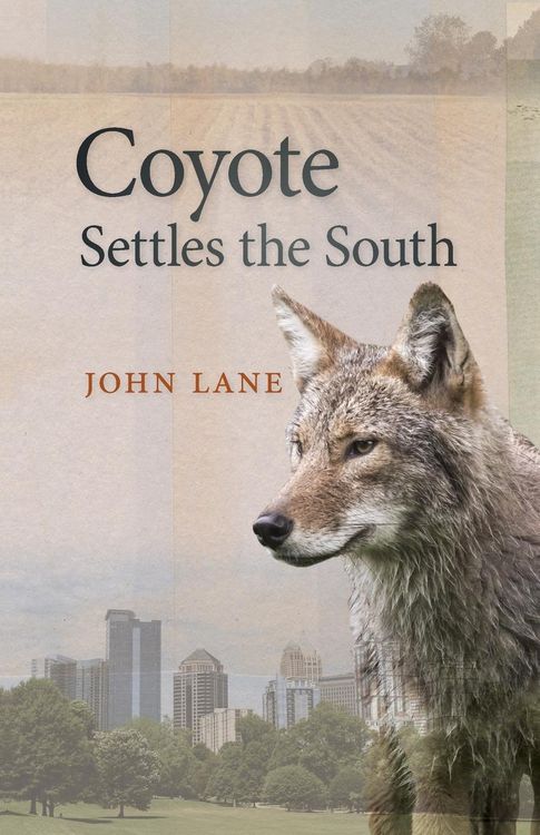 Produktbild: Coyote Settles the South