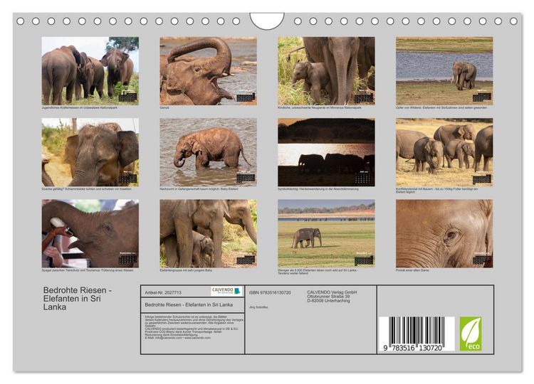 Produktbild: Bedrohte Riesen - Elefanten in Sri Lanka (Wandkalender 2026 DIN A4 quer), CALVENDO Monatskalender