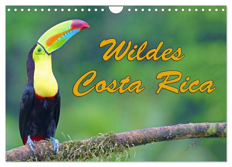 Produktbild: Wildes Costa Rica (Wandkalender 2026 DIN A4 quer), CALVENDO Monatskalender