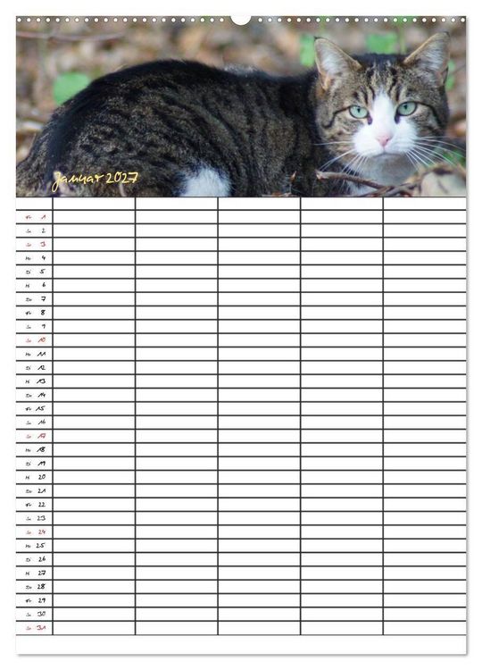 Produktbild: Bauernhoftiere Familienplaner (Wandkalender 2027 DIN A2 hoch), CALVENDO Monatskalender