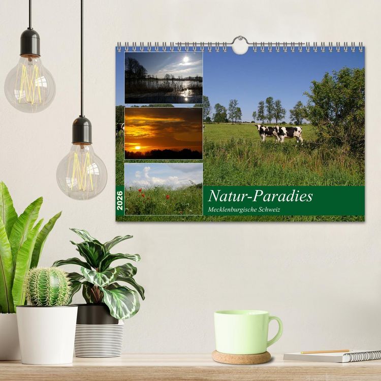 Produktbild: Natur-Paradies Mecklenburgische Schweiz (Wandkalender 2026 DIN A4 quer), CALVENDO Monatskalender