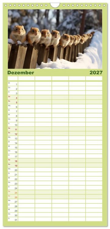 Produktbild: Familienplaner 2027 - Nach Art der Lemminge mit 5 Spalten (Wandkalender, 21 x 45 cm) CALVENDO