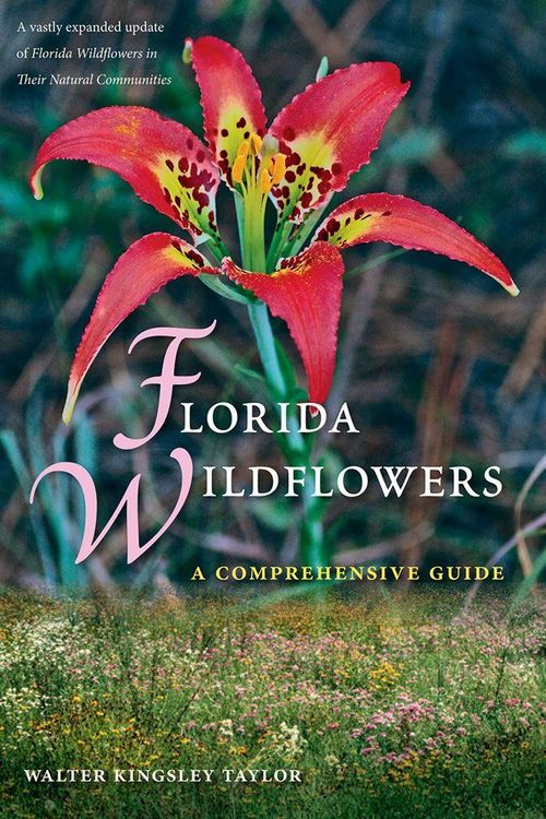 Produktbild: Florida Wildflowers