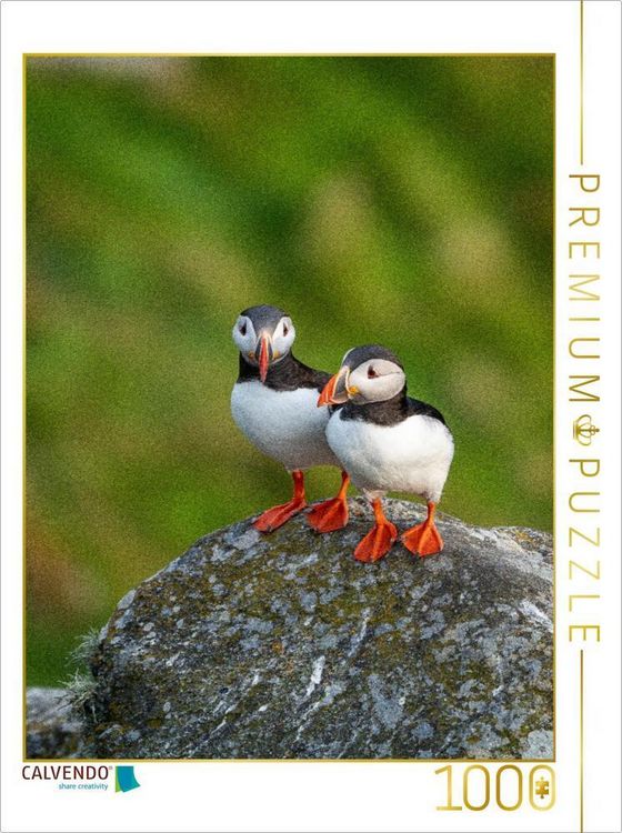 Produktbild: CALVENDO Puzzle Ein Motiv aus dem Kalender Naturerlebnis Puffin | 1000 Teile Lege-Gr&ouml;&szlig;e 64x48cm Foto-Puzzle f&uuml;r gl&uuml;ckliche Stunden