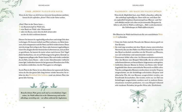Produktbild: Zaubernuss und Waldmagie &ndash; Naturmomente f&uuml;r deine Seele