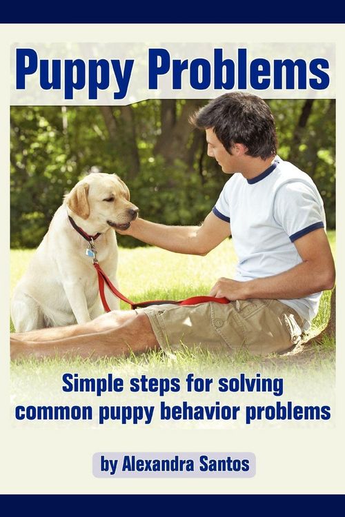 Produktbild: Puppy Problems