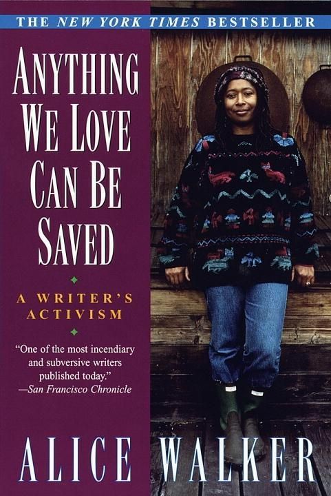 Produktbild: Anything We Love Can Be Saved