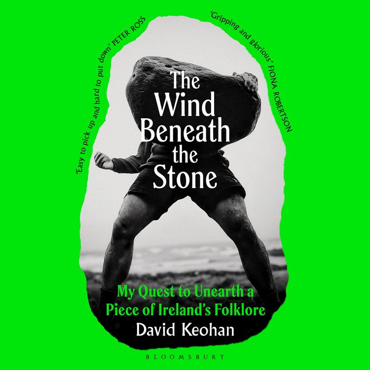 Produktbild: The Wind Beneath the Stone