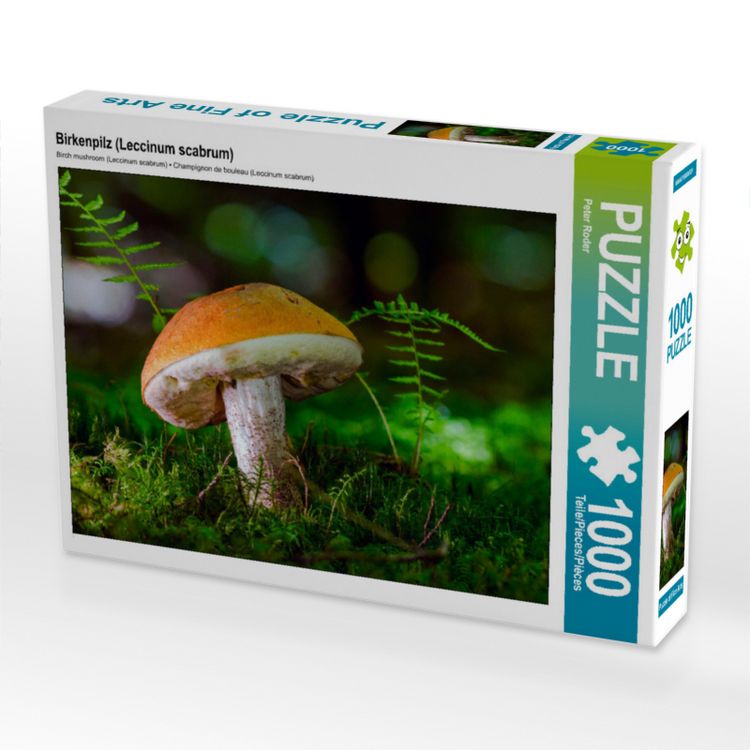 Produktbild: CALVENDO Puzzle Birkenpilz (Leccinum scabrum) 1000 Teile Lege-Gr&ouml;&szlig;e 640 x 480 cm Foto-Puzzle Bild von Peter Roder