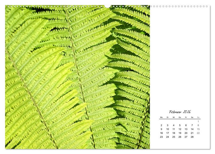 Produktbild: Blattkunst (hochwertiger Premium Wandkalender 2026 DIN A2 quer), Kunstdruck in Hochglanz