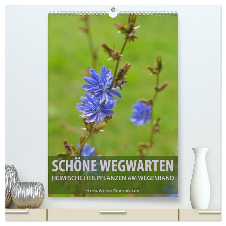 Produktbild: Sch&ouml;ne Wegwarten. Heimische Heilpflanzen am Wegesrand (hochwertiger Premium Wandkalender 2026 DIN A2 hoch), Kunstdruck in Hochglanz