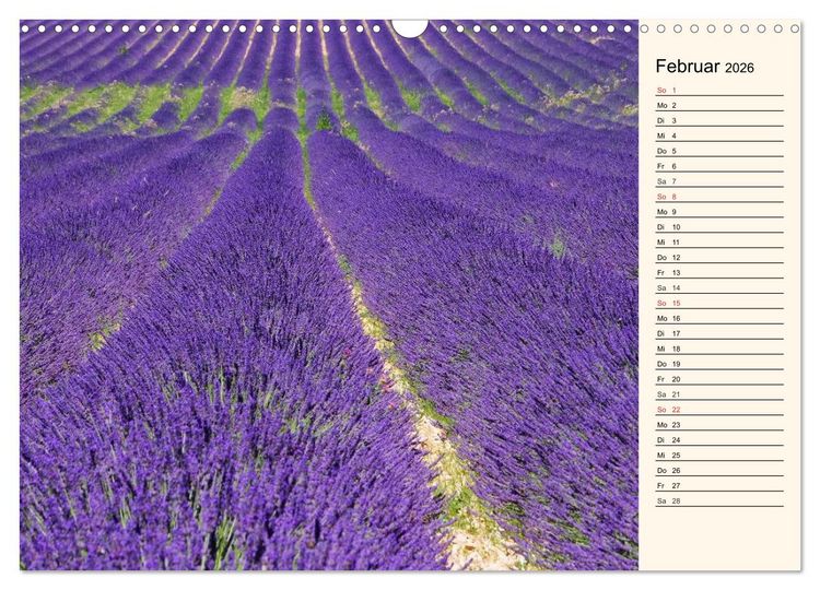 Produktbild: Lavendel (Wandkalender 2026 DIN A3 quer), CALVENDO Monatskalender