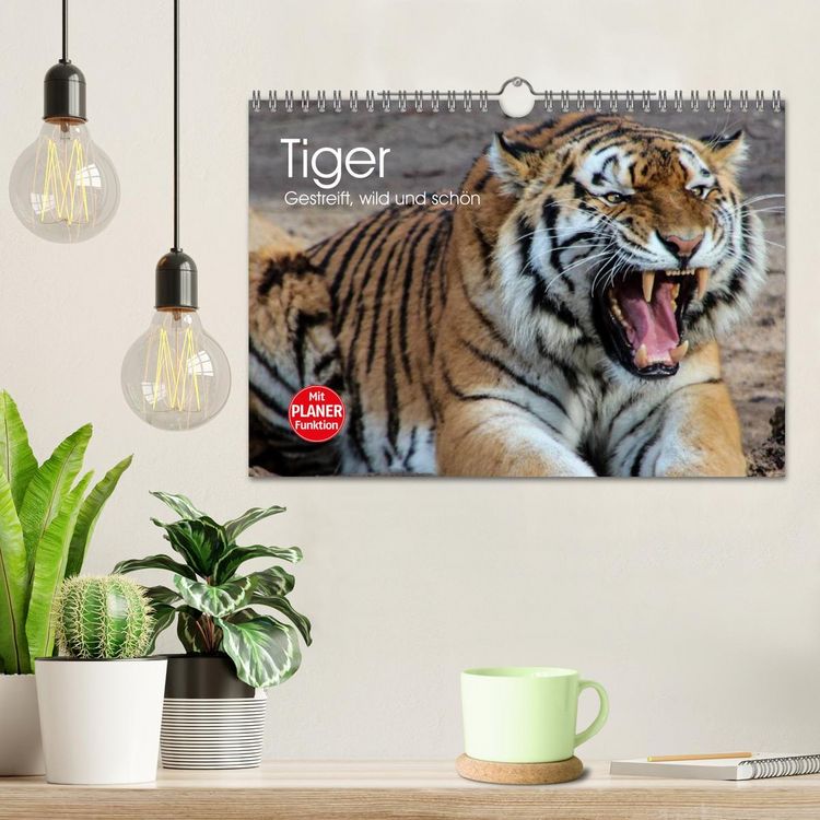 Produktbild: Tiger. Gestreift, wild und sch&ouml;n (Wandkalender 2026 DIN A4 quer), CALVENDO Monatskalender