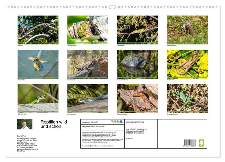 Produktbild: Reptilien wild und sch&ouml;n (Wandkalender 2026 DIN A2 quer), CALVENDO Monatskalender