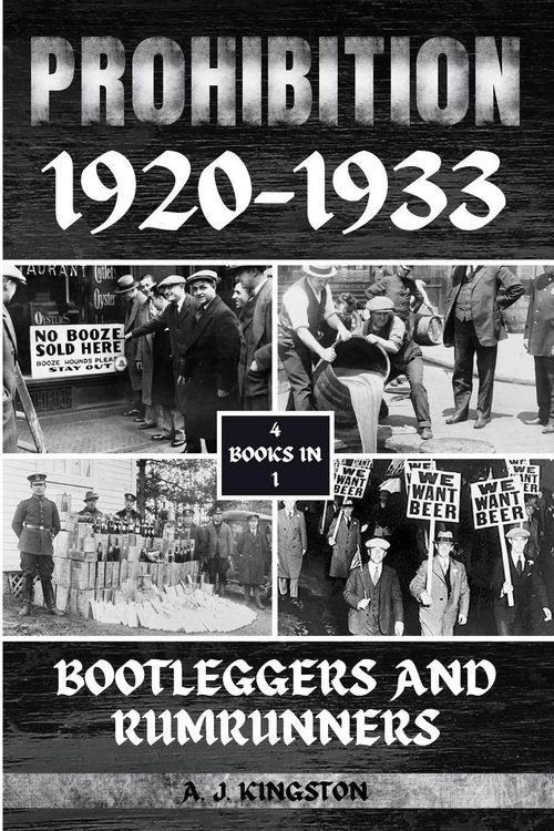 Produktbild: Prohibition 1920-1933