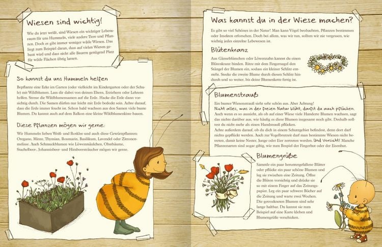 Produktbild: Die kleine Hummel Bommel entdeckt die Wiese