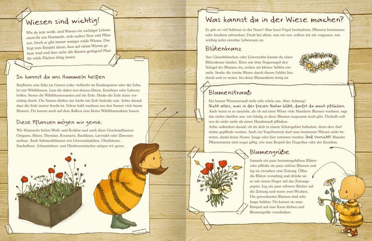 Produktbild: Die kleine Hummel Bommel entdeckt die Wiese