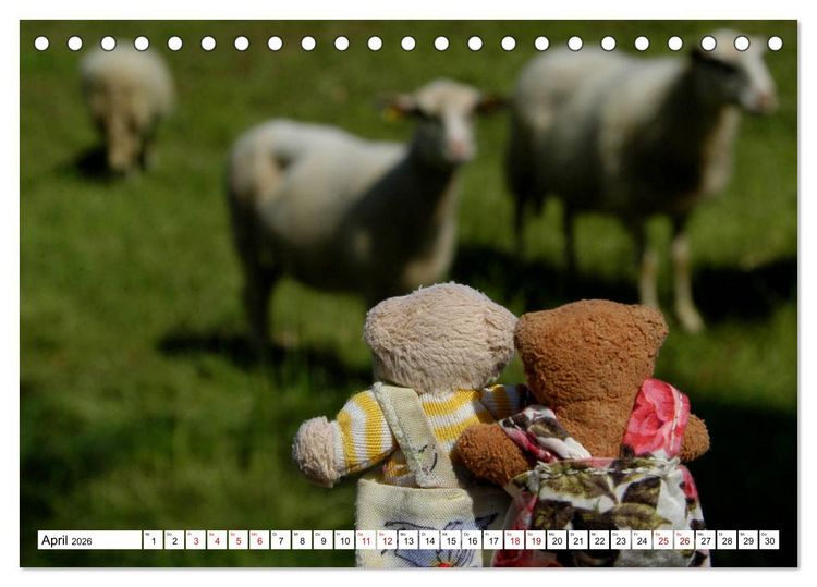 Produktbild: Die kleine Welt der Teddyb&auml;rchen (Tischkalender 2026 DIN A5 quer), CALVENDO Monatskalender