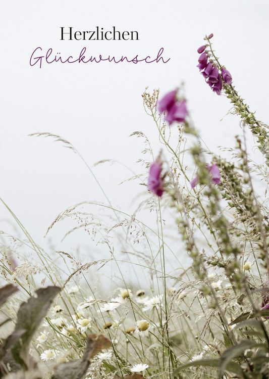 Produktbild: Kleine Gr&uuml;&szlig;e, gro&szlig;e Freude &ndash; Postkartenset