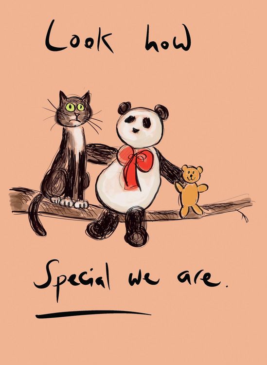 Produktbild: The Panda, the Cat and the Dreadful Teddy