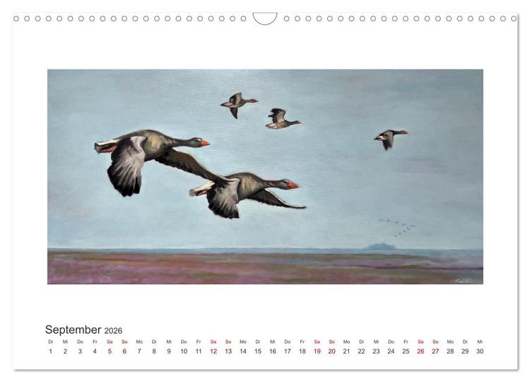 Produktbild: Auf leichten Schwingen - Zugv&ouml;gel (Wandkalender 2026 DIN A3 quer), CALVENDO Monatskalender